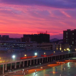 免费一级黄片儿
