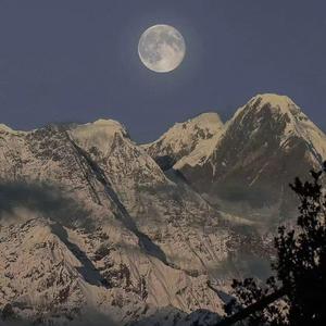 免费一级黄片儿
