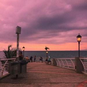 免费一级黄片儿
