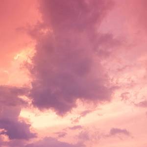 免费一级黄片儿
