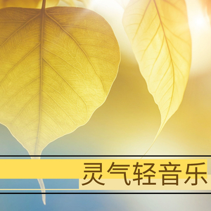 免费一级黄片儿
